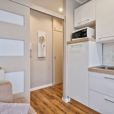 Apartment Borgo Dora Balcony Flat